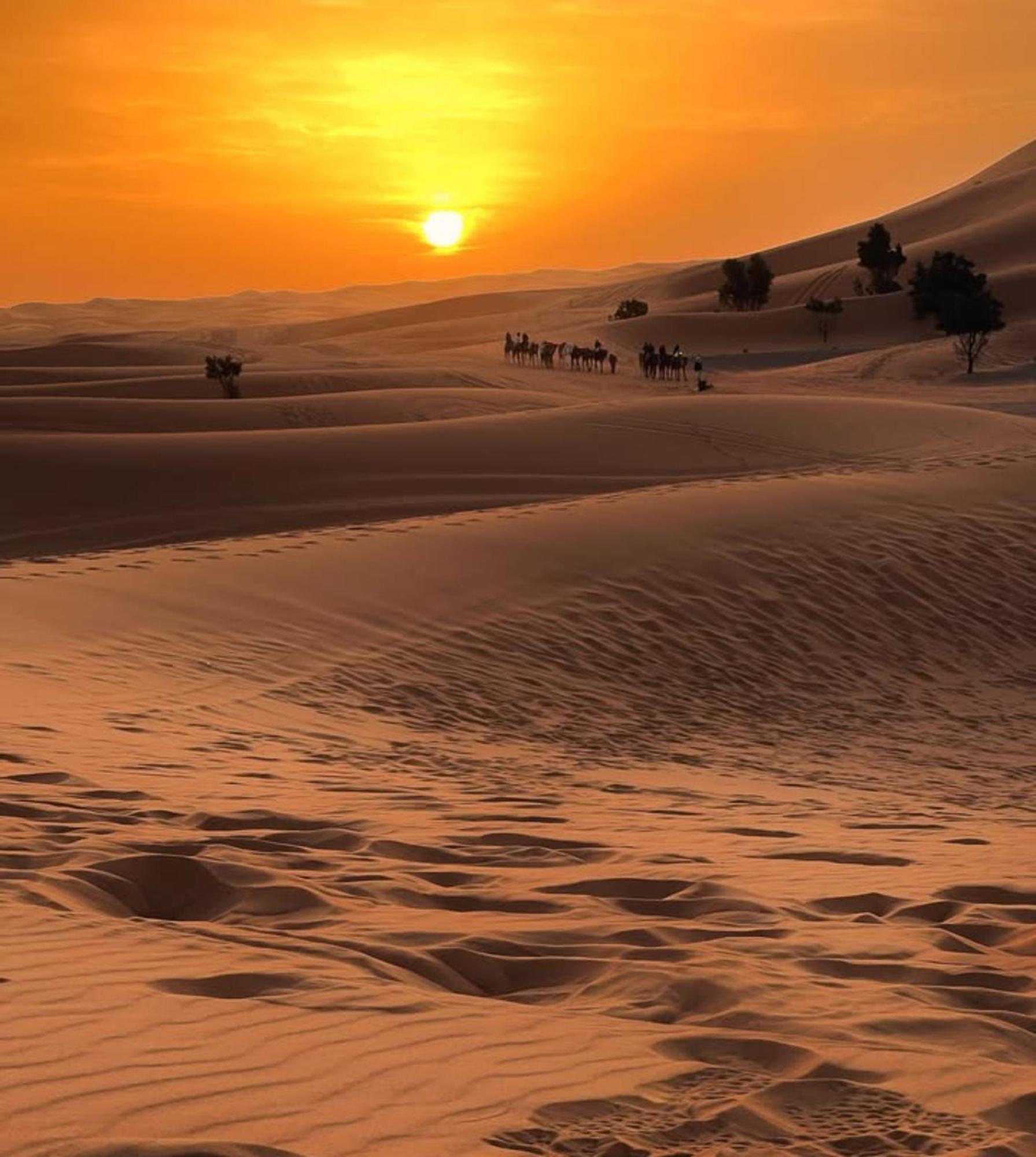 Merzouga Desert Campsite &Activities 외부 사진